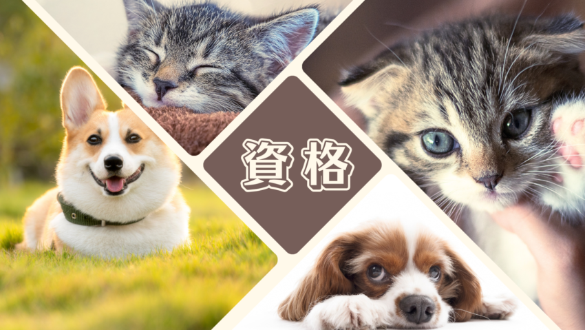 ペットの資格一覧
