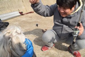 犬のアウトドアライフ②