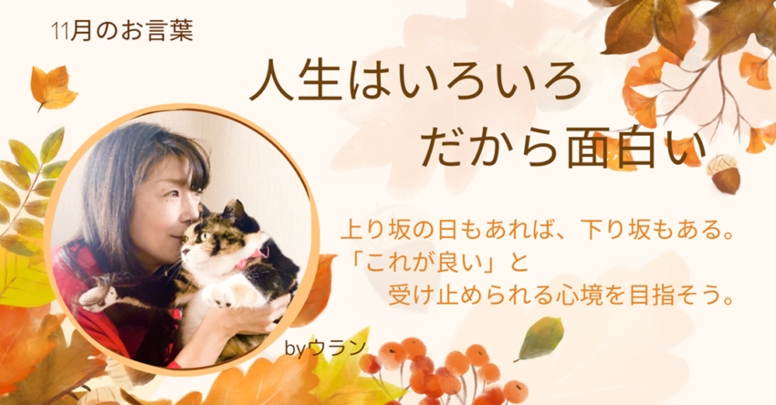 ウランちゃんのお言葉集【11月のお言葉】