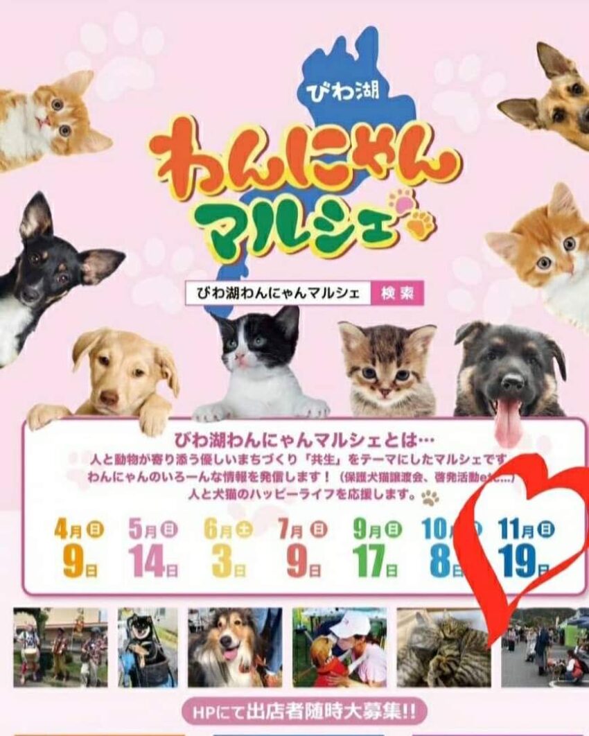 ネコちゃん | 種別 | わんにゃんスマイル