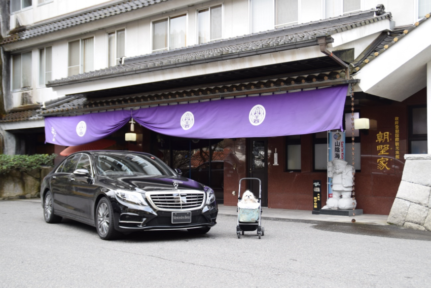 冬の温泉と犬の癒しタイム①