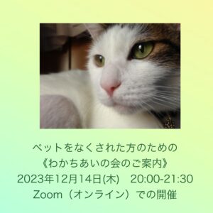 ペットロスケア～グループセラピーのご案内～気持ちを言葉にする
