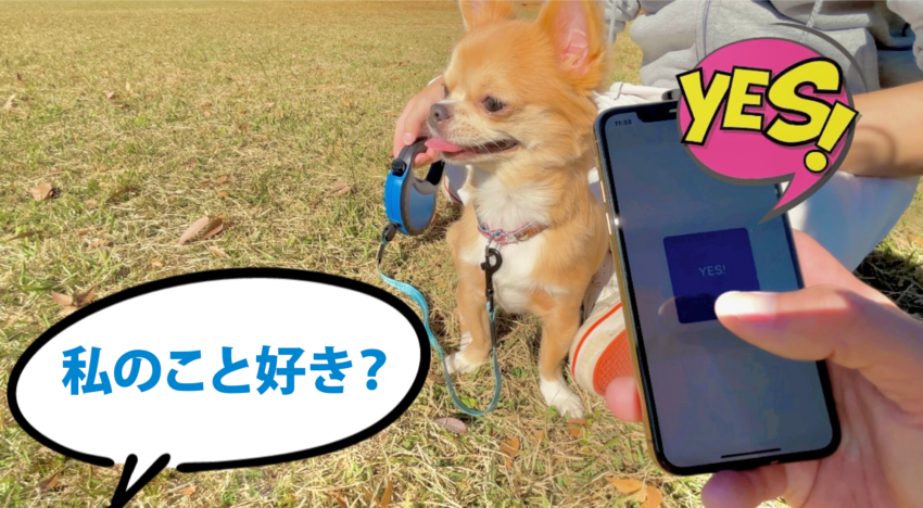 ペットと話すためのアプリ「ペットアンサー」 3