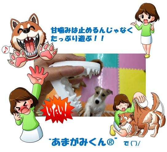 甘嚙み対策グッズ ”あまがみくん” クラウドファンディング開始します！