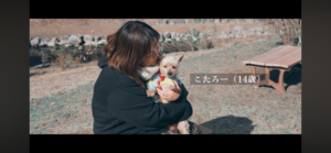こたろーのペット終活動画を作っていただきました！