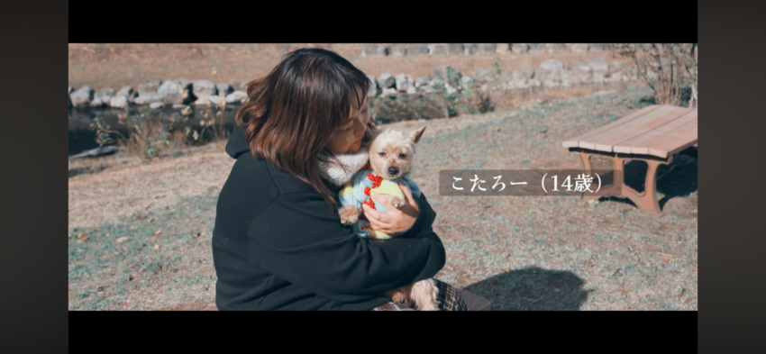 こたろーのペット終活動画を作っていただきました！