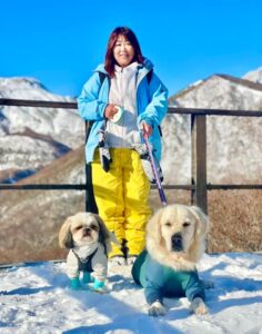 ワンちゃんと一緒の雪遊び　マウントジーンズスキー場編