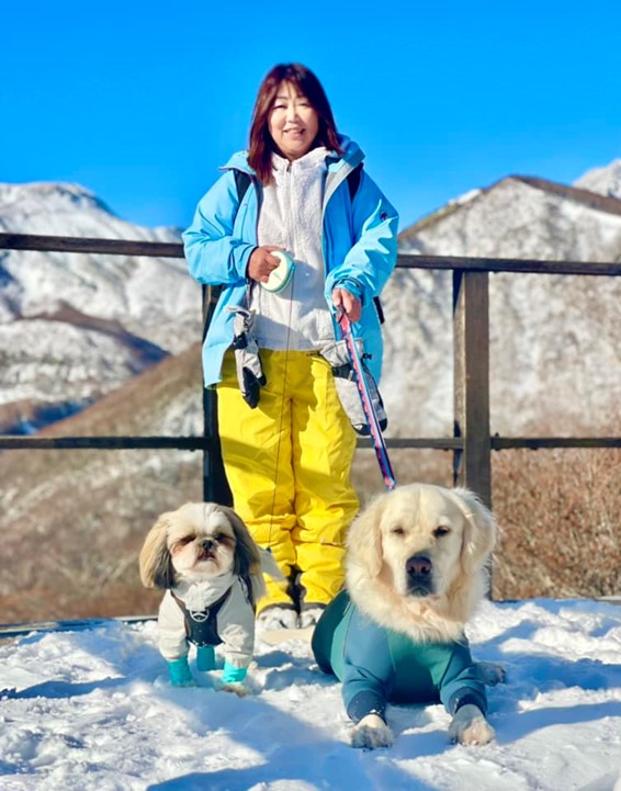 ワンちゃんと一緒の雪遊び　マウントジーンズスキー場編