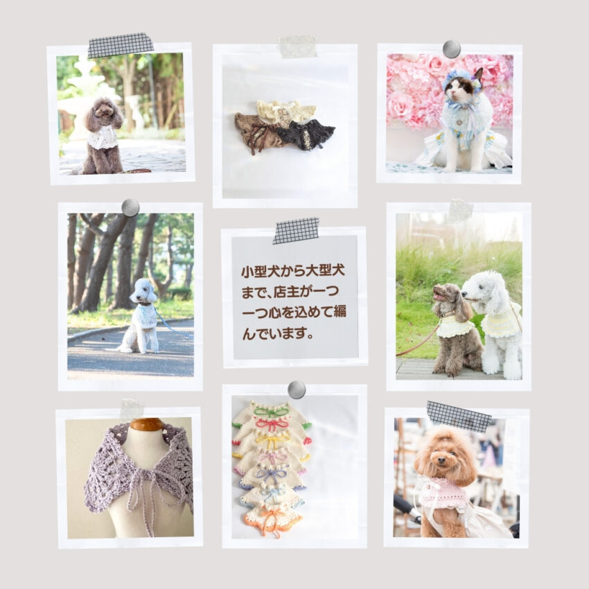 Pet Garden Studio Atelier Cuddly 1