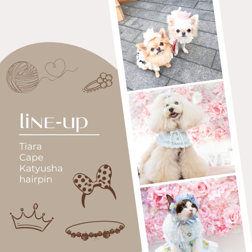 Pet Garden Studio Atelier Cuddly 2