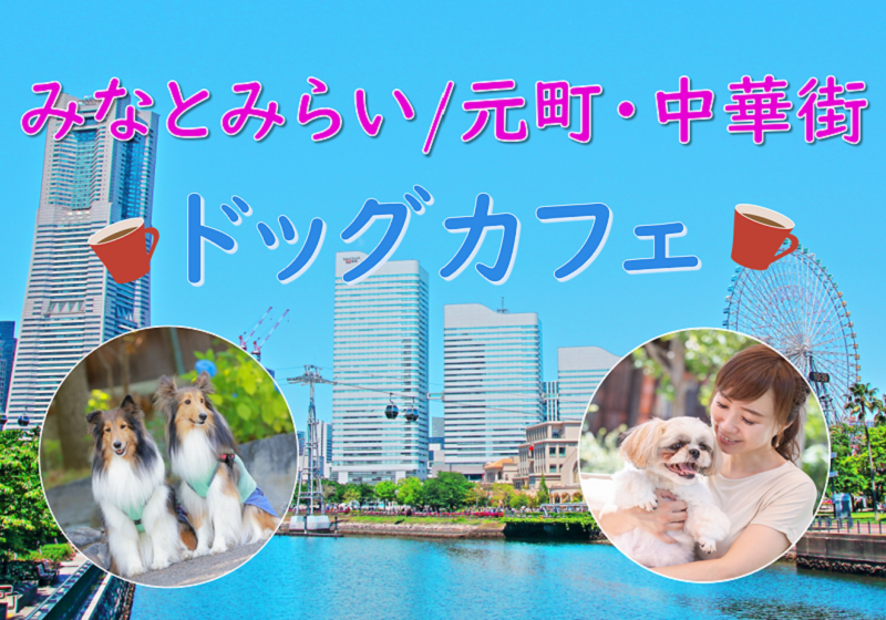 横浜みなとみらい/元町・中華街エリアのドッグカフェ