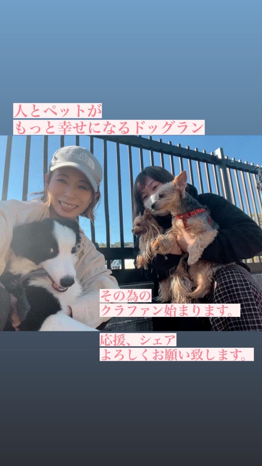 ペットが今よりも幸せになれるクラファンをお手伝いさせていただくことになりました。