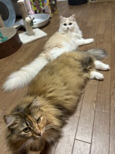 水分補給対策♪