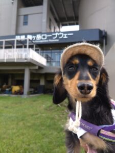 箱根園　駒ヶ岳