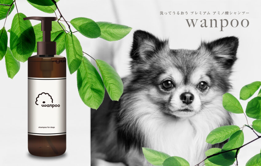 愛犬の肌に いたわりを