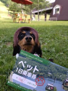 蓼科旅行　白樺高原