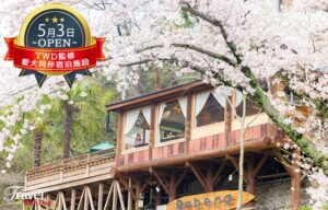 水遊びのできる旅行先