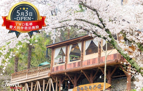 水遊びのできる旅行先