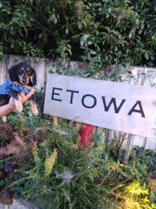 〈初グランピング〉Etowa kisarazu dog club