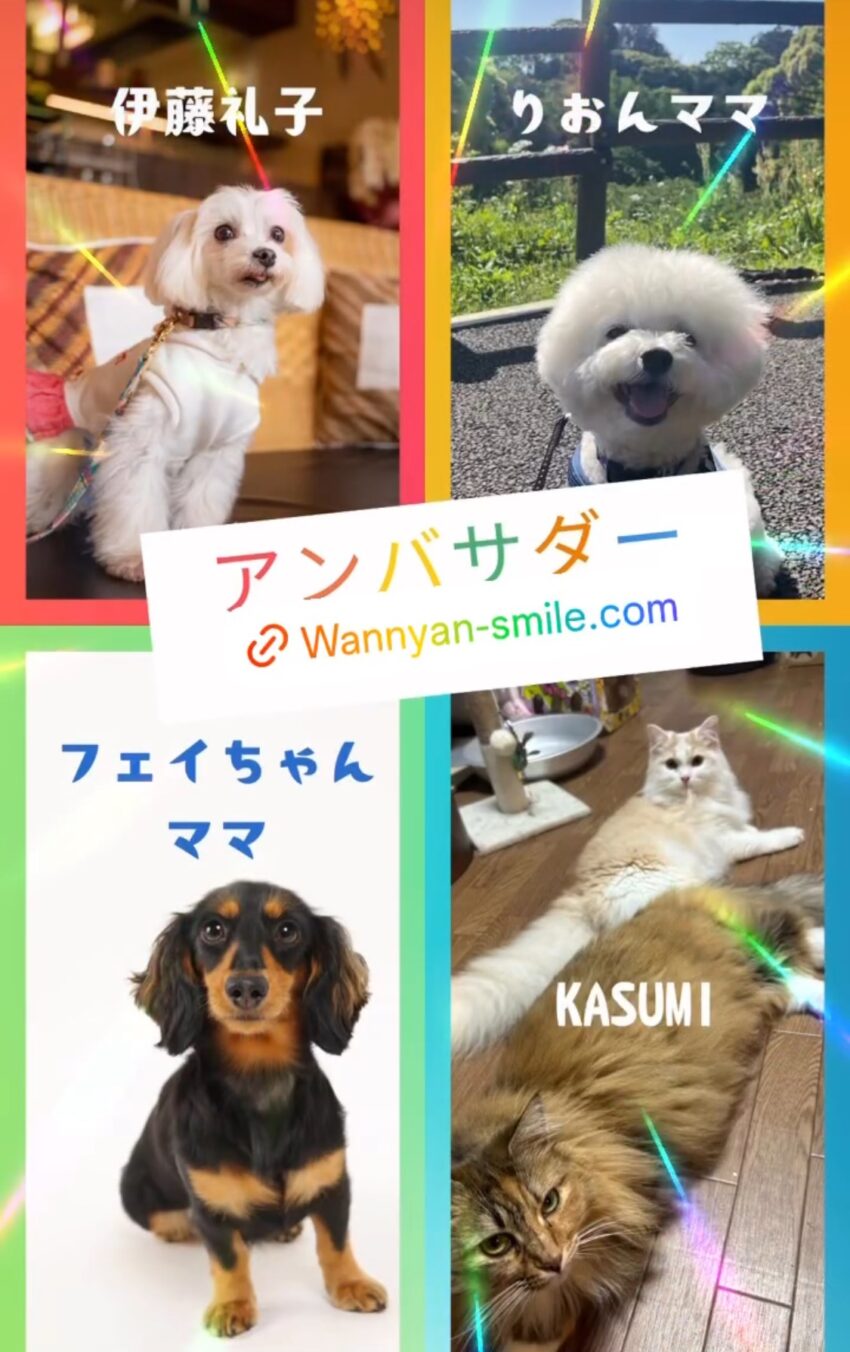 ワンちゃん | 種別 | わんにゃんスマイル