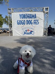 YOKOHAMA GOGO DOG FES 2024 AUTUMN