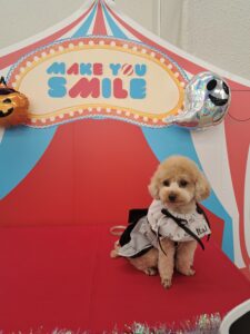 わんにゃんスマイルフェス