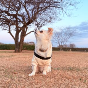埼玉県川越市｢安比奈親水公園｣