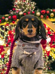 Merry Christmas☆
