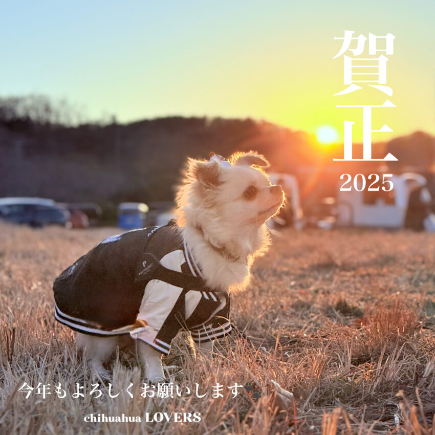 ワンちゃん | 種別 | わんにゃんスマイル