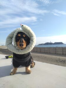 あけましておめでとうございます