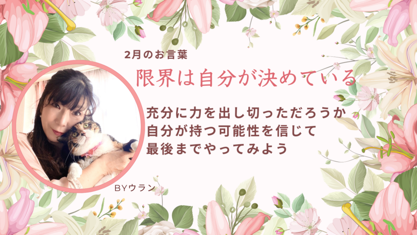 ワンちゃん | 種別 | わんにゃんスマイル
