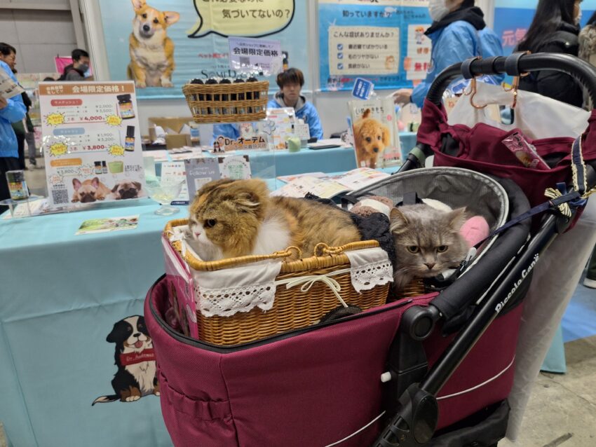 ワンちゃん | 種別 | わんにゃんスマイル