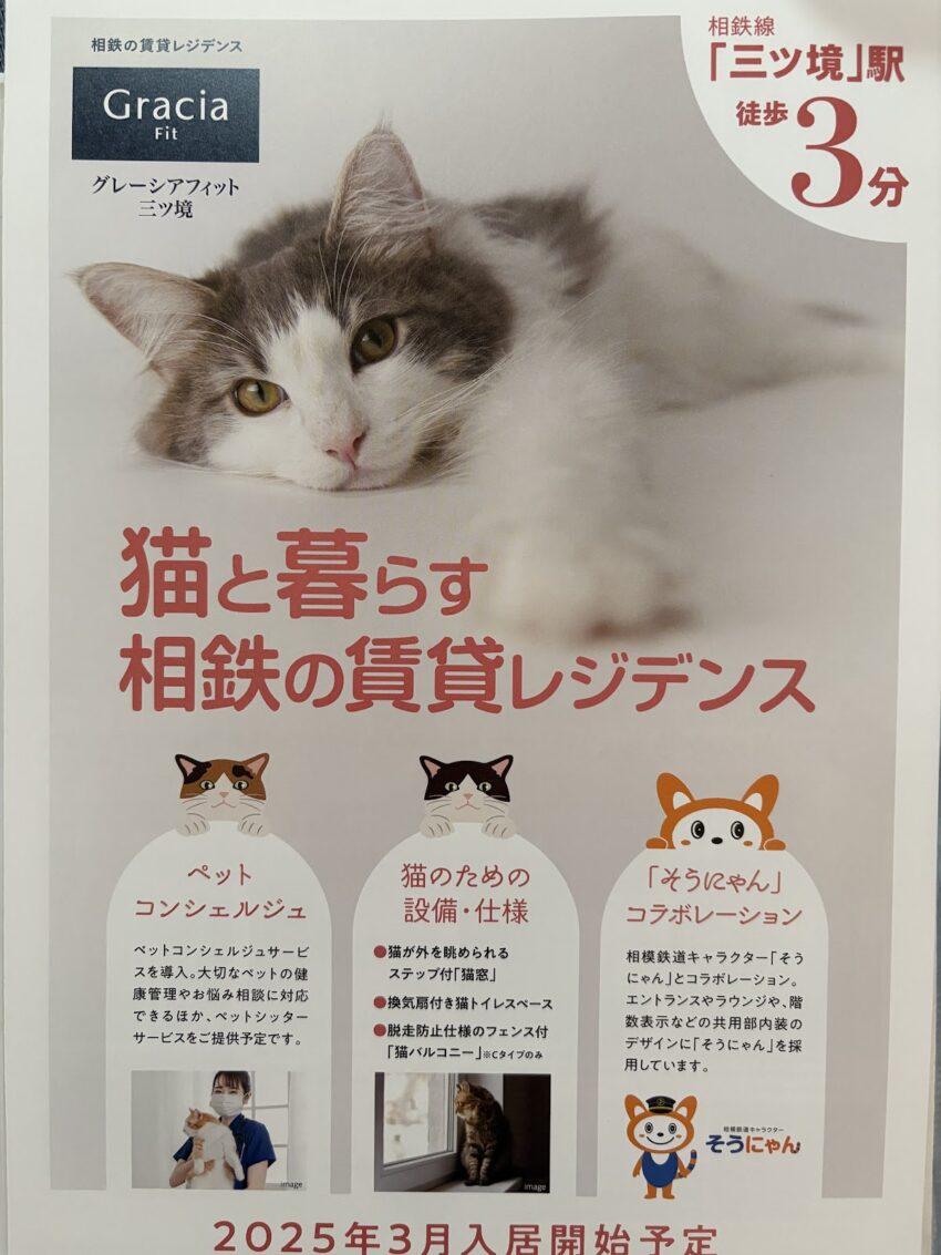 株式会社NEXTVISION 2