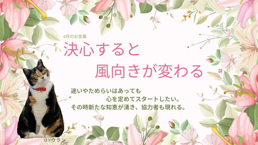 ネコちゃん | 種別 | わんにゃんスマイル