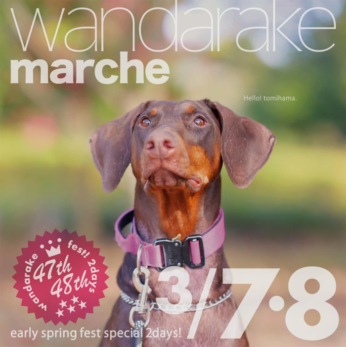 wandarake fest ! 47&48 わんだらけフェス(愛知) wandarake fest ! 47&48 わんだらけフェス(愛知)