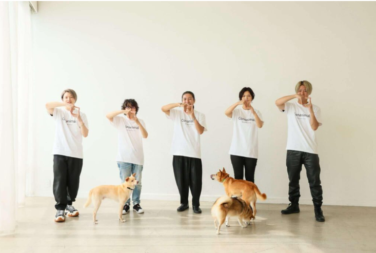 ネコちゃん | 種別 | わんにゃんスマイル