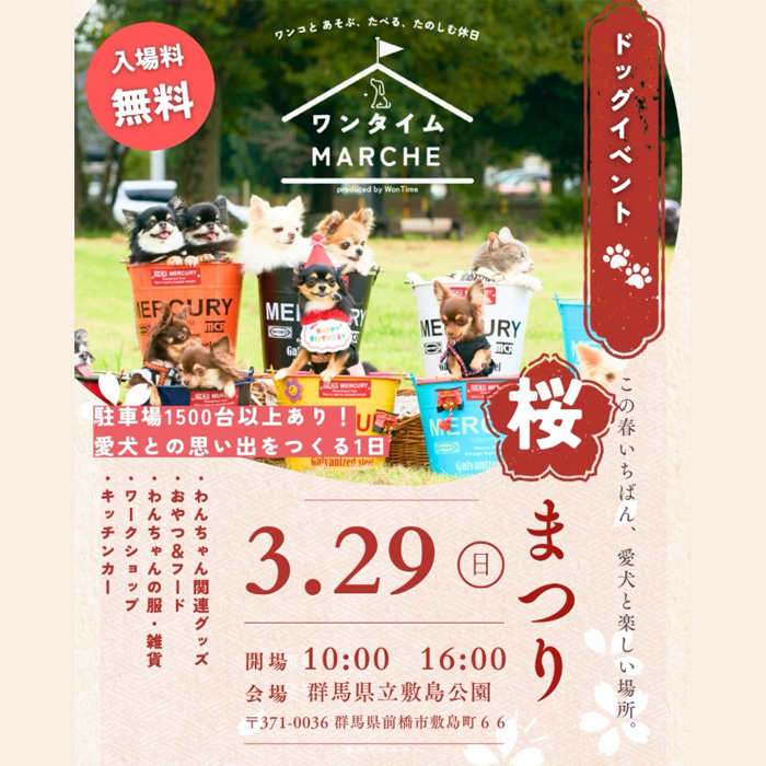 ワンタイムマルシェ 桜まつり（群馬）