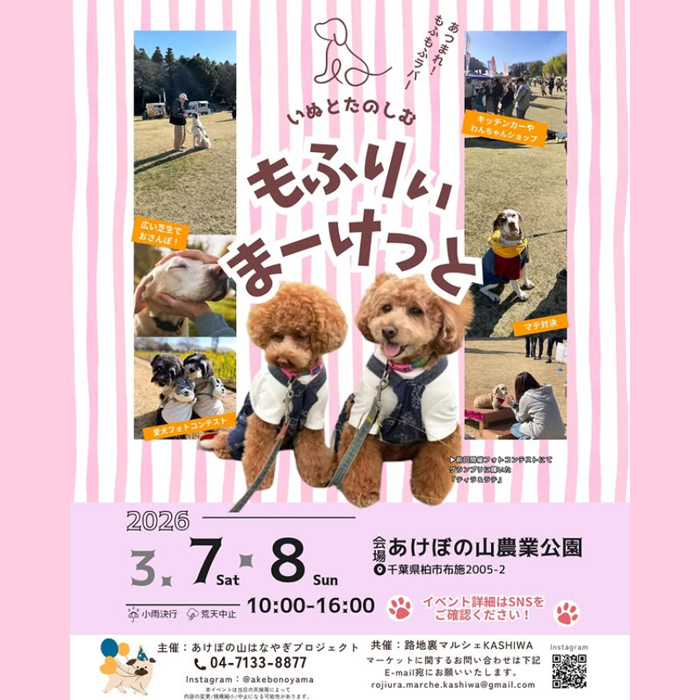 もふりぃまーけっと（千葉）