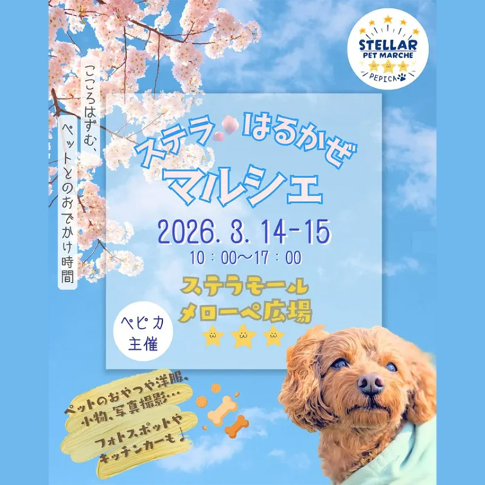 ステラはるかぜマルシェ」（埼玉）