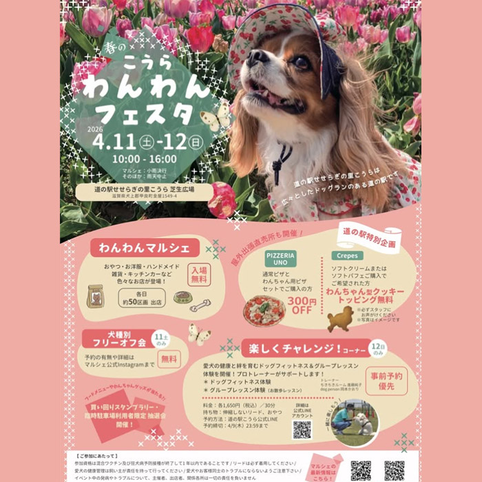 第6回 道の駅こうらわんわんフェスタ(滋賀) 第6回 道の駅こうらわんわんフェスタ(滋賀)