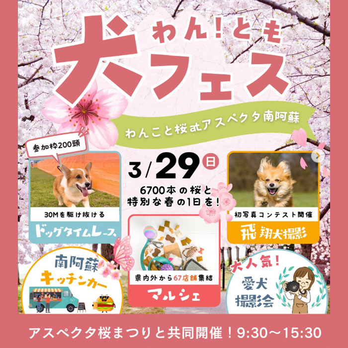 第4回 ワン！とも犬フェス 春～わんこと桜～（熊本）