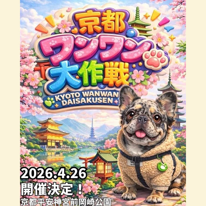 京都ワンワン大作戦（京都）