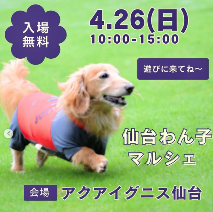 仙台わん子マルシェ 2026 春（宮城）