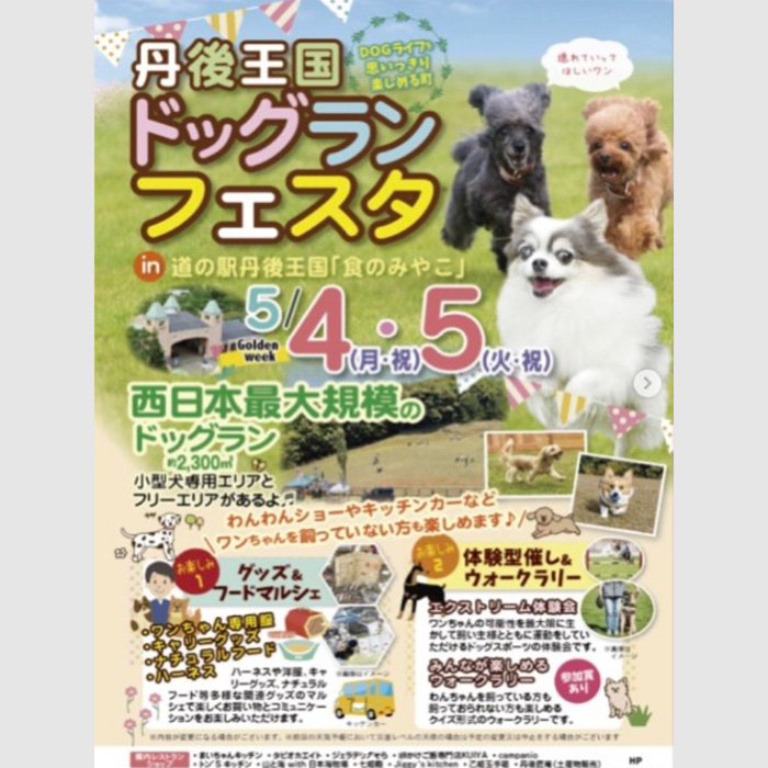 丹後王国ドッグランフェスタ（京都）