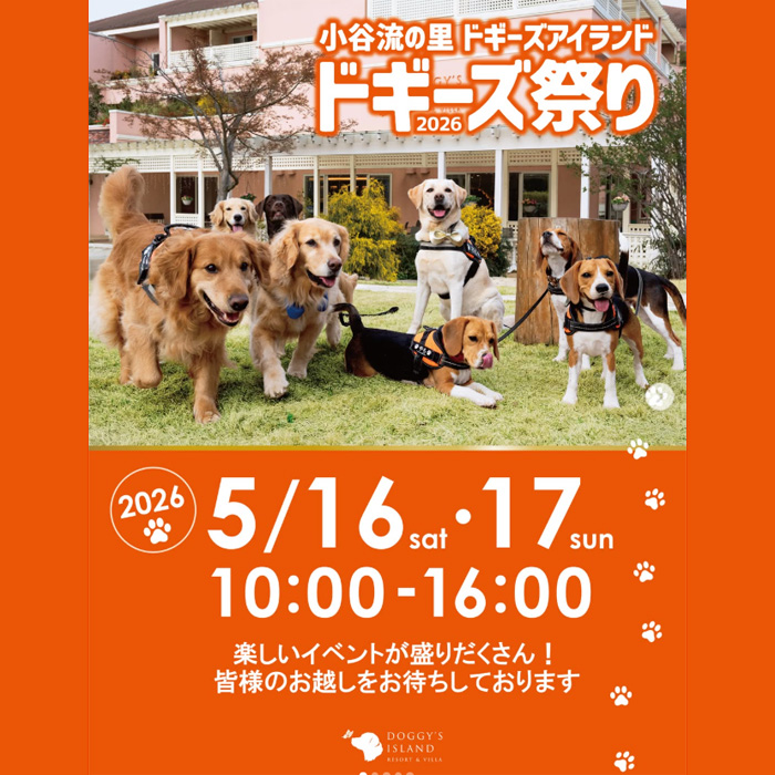 ドギーズ祭り 2026（千葉）