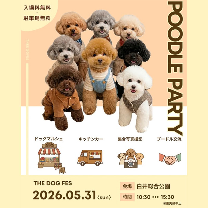 THE DOG FES プードルパーティー（千葉）