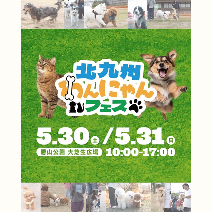 第2回 北九州わんにゃんフェス（福岡）