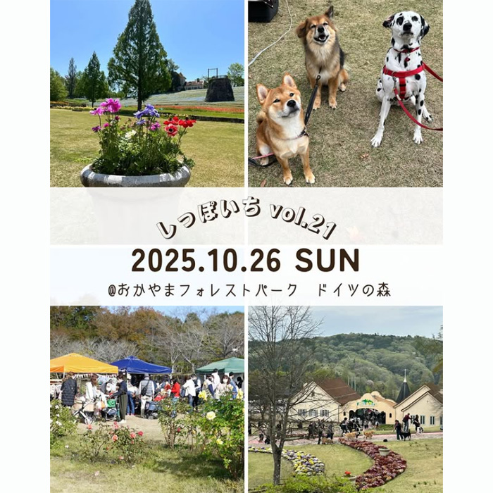 しっぽいち vol.21（岡山）