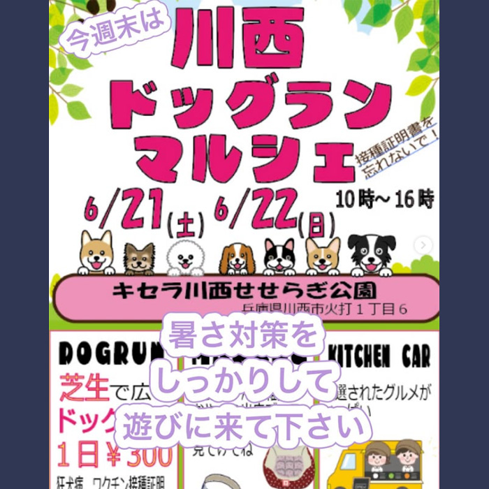 川西ドッグランマルシェ（兵庫）