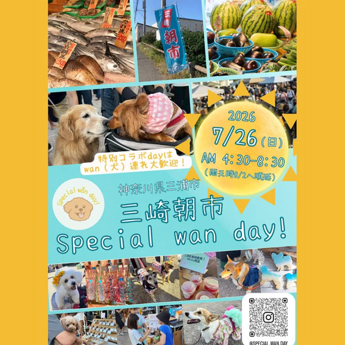三崎朝市 Special wan day! 2026 夏（神奈川）